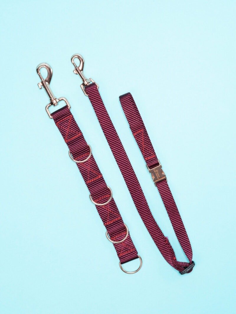 Dog Grooming Extender & Tether Set - Maroon & Rose Gold