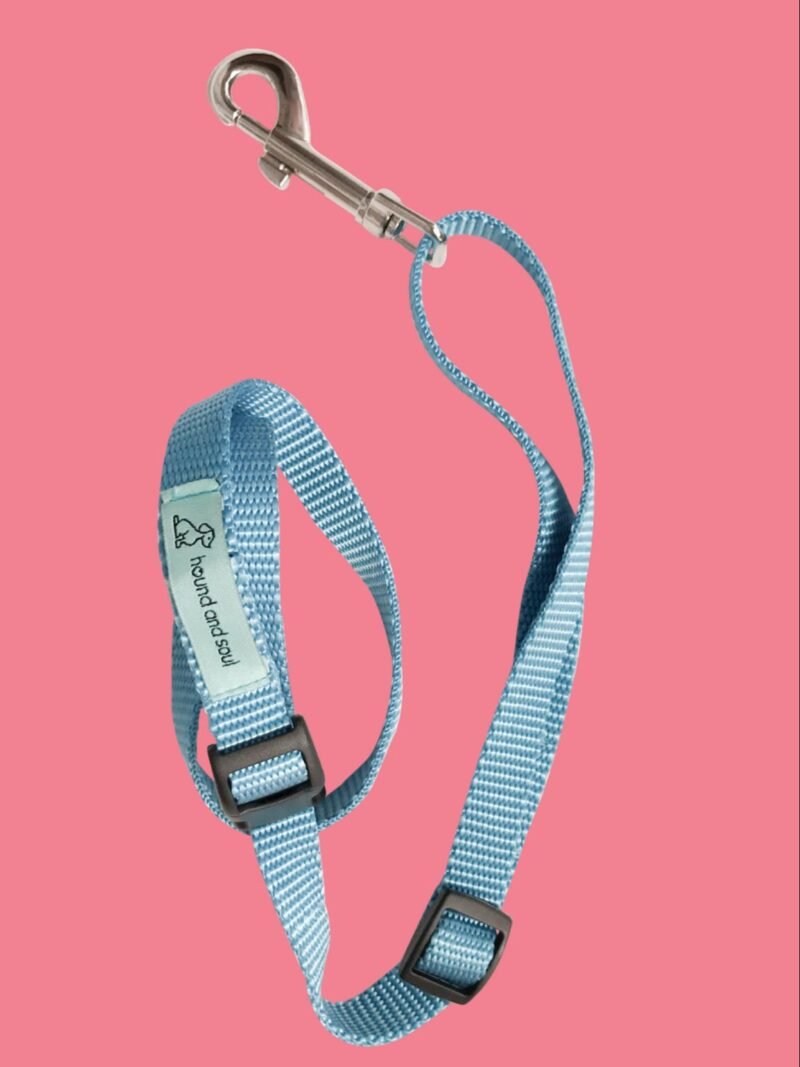 Dog Noose Tether - Baby Blue