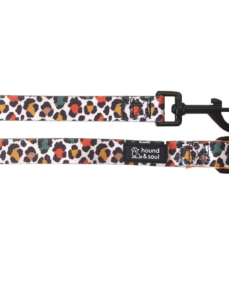 Dog Lead - Desert Leopard