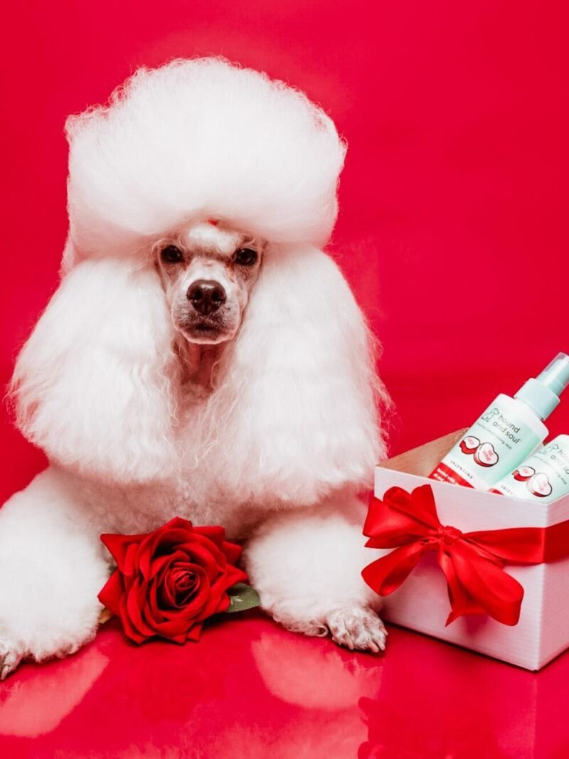 Hound and Soul Gift Card - 25