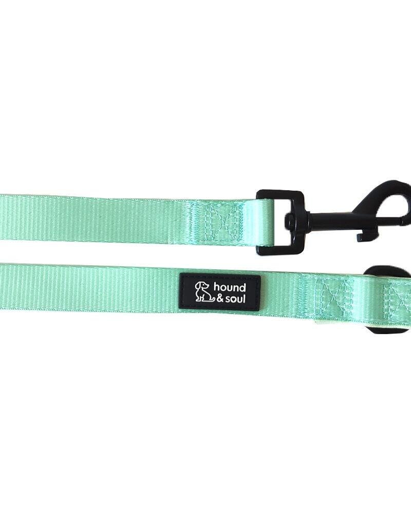 Dog Lead - Fresh Teal