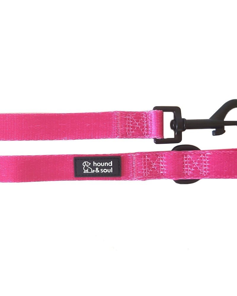 Dog Lead - Pop Pink