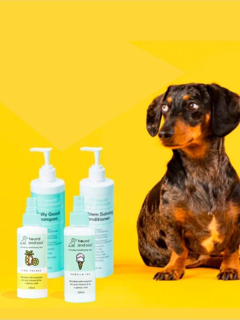 Dog Shampoo & Conditioner Spritz Bundle