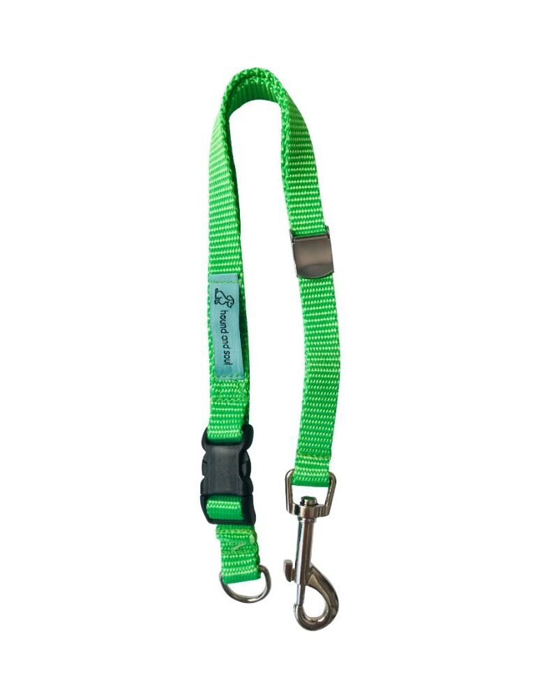 Dog D-Ring Tether - Lime