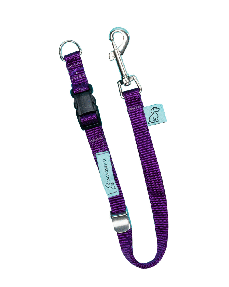 Dog D-Ring Tether - Purple
